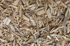 biomass boilers Johnstonebridge